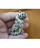 Y-CHE-719) Spotted Dalmatian stone CHEETAH gemstone I love wild CATS cat... - €20,12 EUR