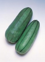 20 Seeds Pickling Melon Green Striped Cucumis melo var conomom - £10.23 GBP