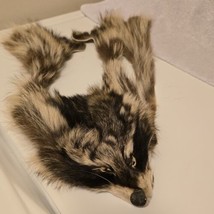 Raccoon Pelt Partial Fur Hat Davey Crockett Daniel Boon - Not Complete READ - £53.81 GBP