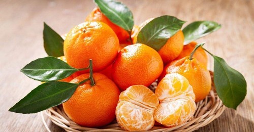 Mandarin - 12 Seeds  - $13.93