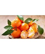 Mandarin - 12 Seeds  - $19.62 CAD