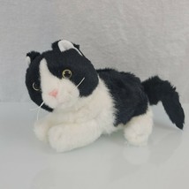 Scholastic Furry Friends Stuffed Plush Black White Kitty Cat Kitten Amber Eyes - £23.18 GBP