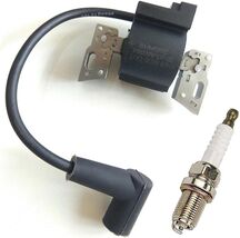 LIYYOO 593872 799582 Ignition Coil + Spark Plug Compatible with Briggs &amp; - $28.71