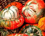 Turk's Turban Gourd Seeds, NON-GMO, Giraumon Turban, Ornamental, FREE SH... - $1.57+