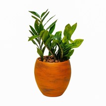 DTY Signature  Smart Self-watering Round Planter Pot for Indoor and Outdoor - £25.91 GBP