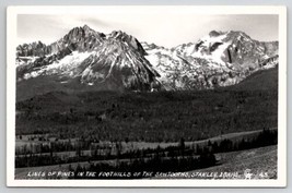 Stanley Idaho RPPC Lines of Pines In Foothills of The Sawtooths  Postcard V21 - $9.95