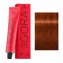 Schwarzkopf IGORA ROYAL Hair Color, 6-77 Dark Blonde Copper Extra