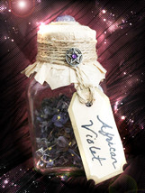 Haunted EXTREME 1000X PROTECTION HOUSE CLEANSE BLESSED VIOLETS POTION OI... - £110.12 GBP