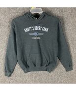Knott&#39;s Berry Farm Hoodie Boys Youth XL Pullover Gray Cotton Blend - $274.97 MXN