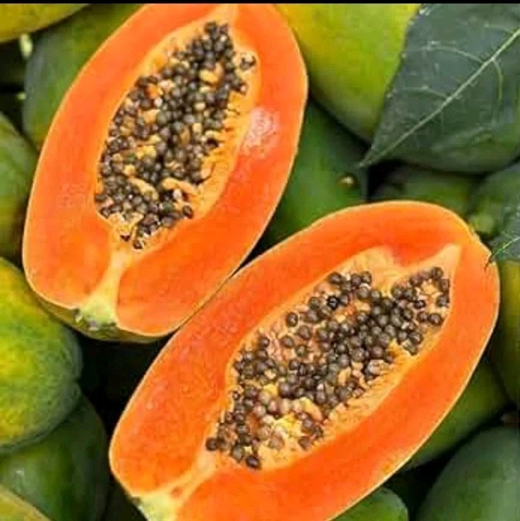 Caribbean Red Papaya Seeds (20) / DELICIOUS/ Rare / Florida Grown - $8.61