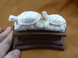 TURT-SEA-65) 2 Sea turtles + coral of shed ANTLER figurine Bali detailed carving - £55.49 GBP