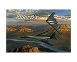 Killer B&#39;s Military Planes Airplanes Aviation Pilot Flying Metal Sign - £27.33 GBP