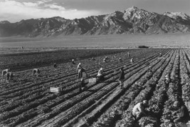 Farm, farm workers, Mt. Williamson in background - £15.96 GBP