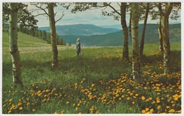 High Rangeland British Columbia Canada Vintage Postcard Unposted - £3.86 GBP