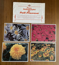 Four Lithographs Of Fall Flowers Art Print Art Work - £12.13 GBP