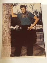 Elvis Presley Vintage Photo 7”x5” Elvis Against Tree Ep5 - $14.84