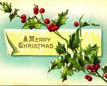 Holly Branch Icicles Border Merry Christmas Embossed 1910s Postcard Steg... - $3.91