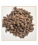 ABERE SEEDS (Miracle Seeds) Hunteria Umbellata. - $18.00