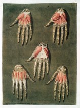 Item image 1 image 1