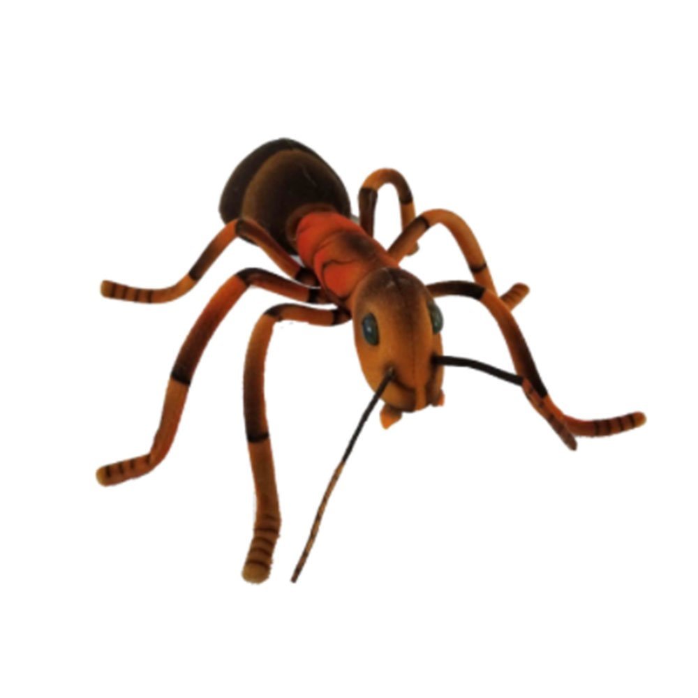 Ant soft toy new arrivals