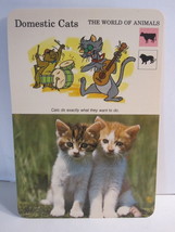 1978 Walt Disney&#39;s Fun &amp; Facts Flashcard #DFF1-10: Domestic Cats - £1.56 GBP