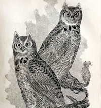 Large Horn Owl Victorian 1856 Bird Art Plate Print Antique Nature Epheme... - $39.99