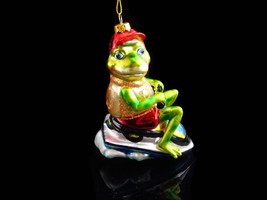 Hilarious FROG ornament / glass ornament / green frog on ski doo / 5&quot; crown prin - £51.83 GBP