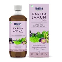 Sri Sri TATTVA Karela Jamun Juice - Ayurvedic Juice 1000 ml - $38.00