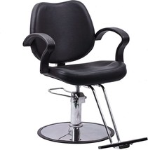 Beauty Style Classic Hydraulic Barber Chair Styling Chair Salon Beauty E... - £137.65 GBP