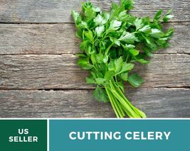 200 Celery Cutting Leaf Celery Seeds Apium graveolens Heirloom Open Pollinated - £12.59 GBP