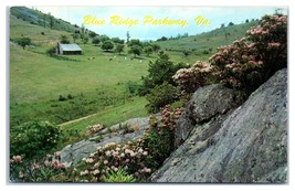 Blue Ridge Parkway Virginia Unused Postcard - £41.11 GBP