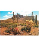 THE COLORFUL DESERT Petley Studios Chrome Postcard ARIZONA Unposted - $136.09 MXN