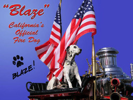 1907 Steamer Blaze California&#39;s Official Fire Dog Metal Sign - £13.27 GBP