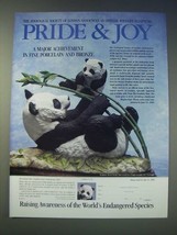 1989 Franklin Mint Ad - Pride and Joy by D.J. Shinn - The zoological society - £14.49 GBP