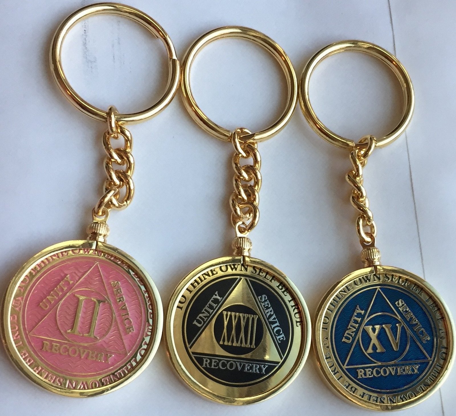 RecoveryChip Reflex or Elegant AA Medallion Keychain Sobriety Chip Holder 18k...