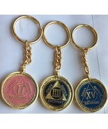 RecoveryChip Reflex or Elegant AA Medallion Keychain Sobriety Chip Holde... - £10.27 GBP