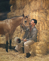 Robert Taylor sitting on bail of hay near horse smiling 11x14 Photo - $14.99