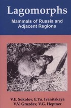 Lagomorphs Mammals of Russia and Adjacent Regions by Vladimir Evgenevich Sokolov - £59.20 GBP