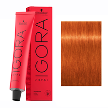 Schwarzkopf IGORA ROYAL Hair Color, 8-77 Light Blonde Copper Extra