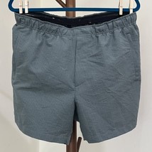 Theory Jace Splash Seersucker Men’s Swim Shorts Green Size Large NWOT - $29.65