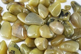 Three Olive Opal Tumbled Stones 20mm Green Reiki Healing Crystals Heart ... - $62.49 MXN