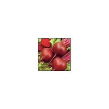 100 Big Rob&#39;s Sweet Beet Seeds-1097 - £3.12 GBP