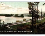 Susquehanna River Island Owego New York NY DB Postcard U23 - $3.91