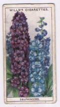 Wills Cigarette Card Garden Flowers #17 Delphiniums - £0.78 GBP