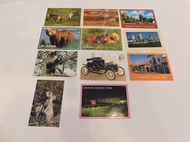 Wildlife, Tampa, Alaska, Grand Coulee Dam Vintage Post cards Postcards lot of 11 - £16.40 GBP