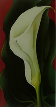 Single lily with red background - Georgia O&#39;keeffe - Framed Picture 11 x 14 - £25.97 GBP