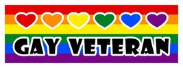 Gay veteran LGBT Gay Lesbian diversity decal sticker 3 x 9 INCH - £3.09 GBP