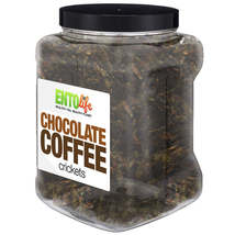 Chocolate Coffee Flavored Cricket Snack - Pound Size - £31.30 GBP