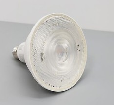 Philips Hue White PAR38 Outdoor LED Floodlight Bulb SINGLE 476812 image 2