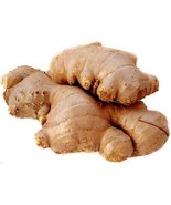 Fresh Ginger Root / Adrak - 1lb - £8.21 GBP